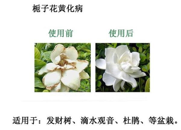 �������၆�F���a�S�ң����a�|���r�I�����၆�F�����a�S���Ԓ��13838587319