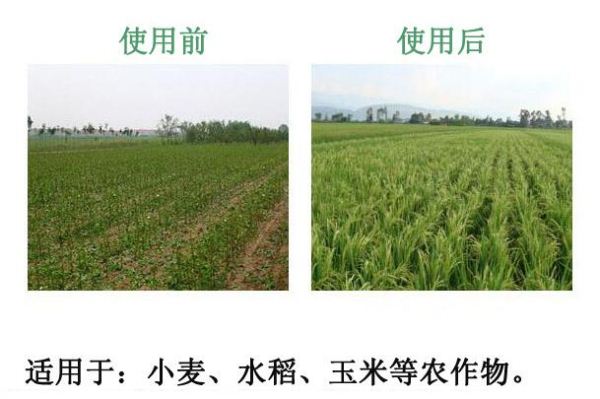 �������၆�F����ϵ�Ԓ��13838587319 �O����