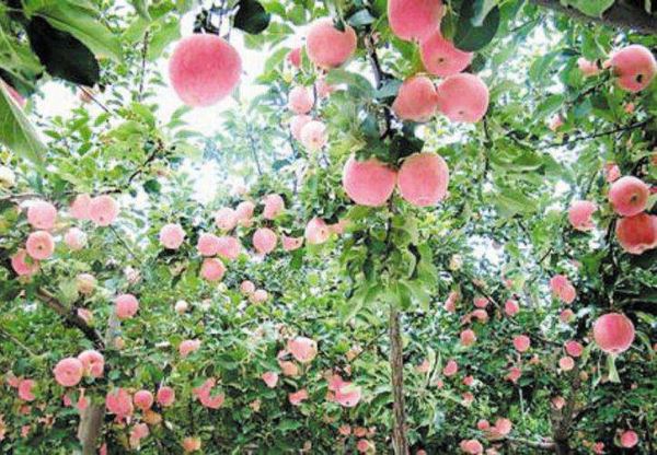 �������၆�F�S�ҿ���ϵ�Ԓ��13838587319 �O����